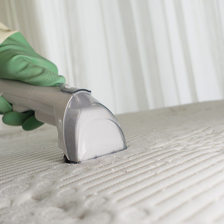 Cleaning services in Bowie, MD Cleaning services in Bowie, MD